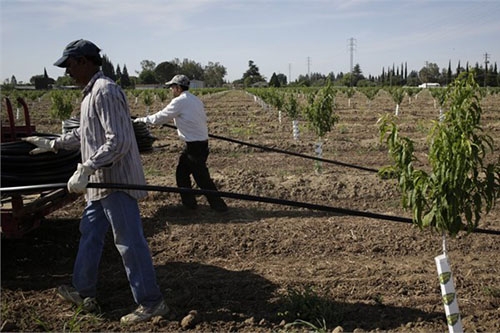 Tarih olacak 10 meslek galerisi resim 10