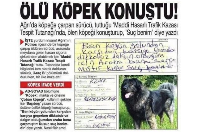 Yurdum insanından güldüren manzaralar galerisi resim 1