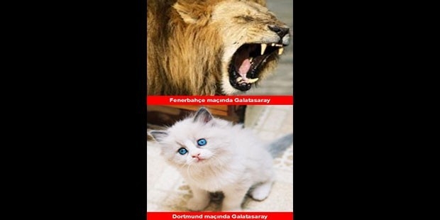 Galatasaray maçından sonra güldüren capsler galerisi resim 3