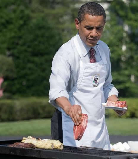 Obama'dan mangal partisi galerisi resim 5