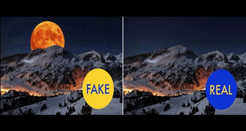 Çok paylaştığımız gerçek olmayan fotoğraflar galerisi resim 9