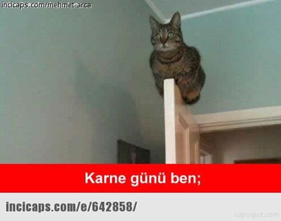 Karne günü capsleri galerisi resim 2