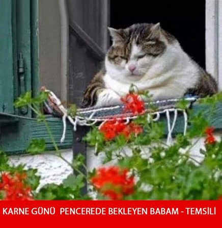 Karne günü capsleri galerisi resim 5