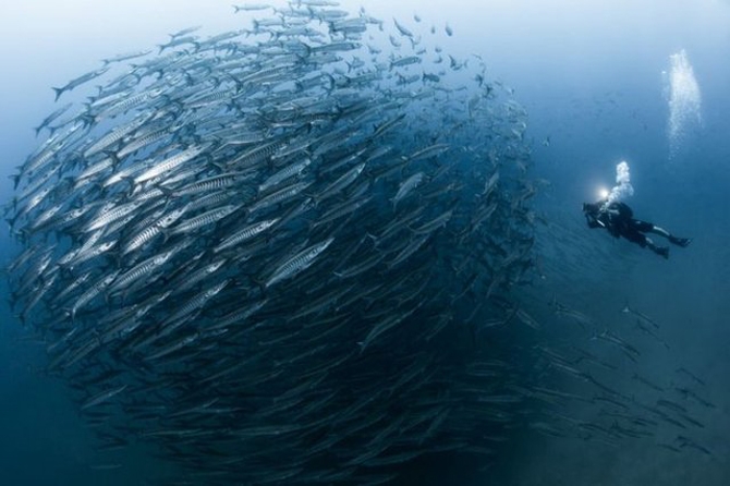 Bu fotoğrafları görünce bayılacaksınız galerisi resim 3