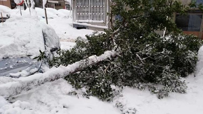 İstanbul'da kar çilesi galerisi resim 12