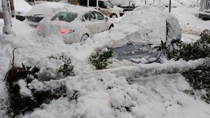 İstanbul'da kar çilesi galerisi resim 14