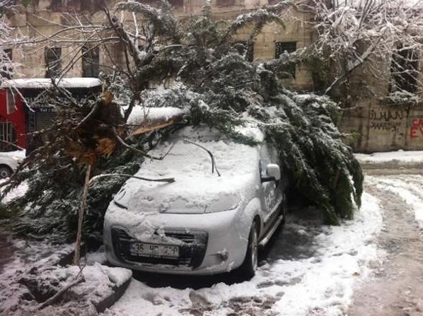 İstanbul'da kar çilesi galerisi resim 8