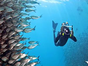 Su altından inanılmaz manzaralar