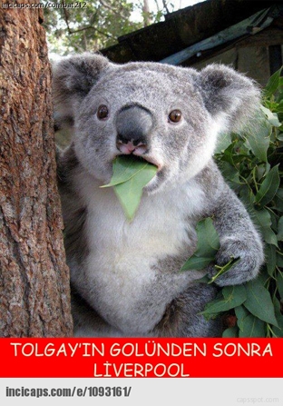 Beşiktaş kazandı capsler coştu galerisi resim 14