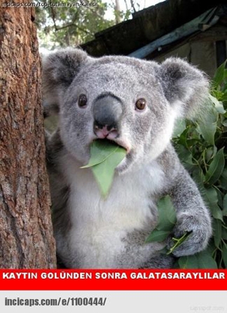 Derbi maçı capslere böyle yansıdı galerisi resim 14