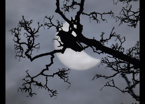 Güneş tutulmasından en güzel kareler galerisi resim 9