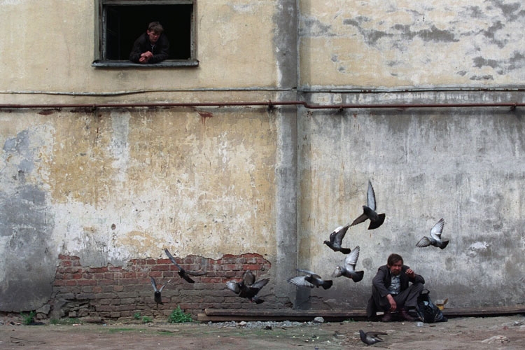 Rus fotoğrafçıdan ödüllü kareler Foto-Galeri galerisi resim 19