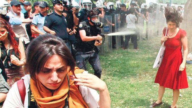 Gezi Parkı'nın ikinci yılı galerisi resim 11