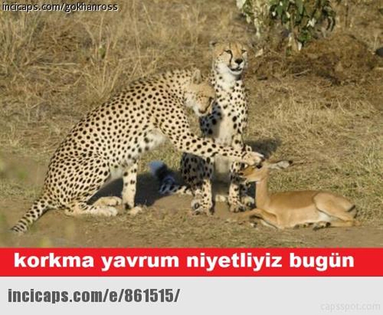 Ramazan capsleri güldürüyor galerisi resim 2