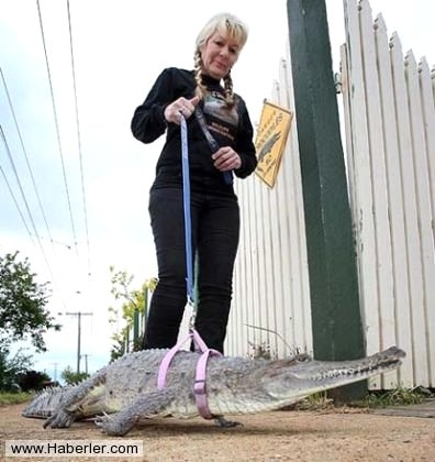 Sıradışı Evcil hayvanlar galerisi resim 1