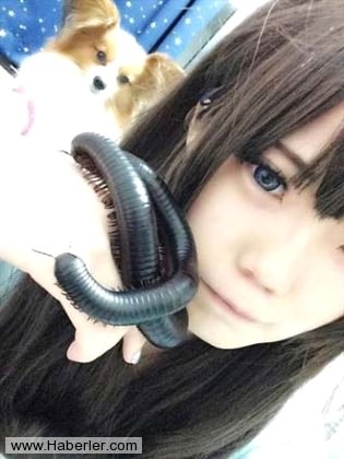 Sıradışı Evcil hayvanlar galerisi resim 10