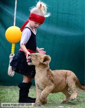 Sıradışı Evcil hayvanlar galerisi resim 14