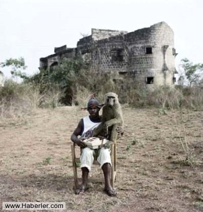 Sıradışı Evcil hayvanlar galerisi resim 16