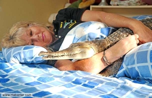 Sıradışı Evcil hayvanlar galerisi resim 2