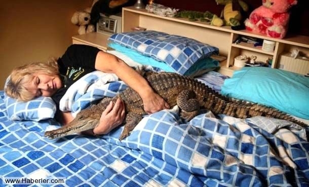 Sıradışı Evcil hayvanlar galerisi resim 3