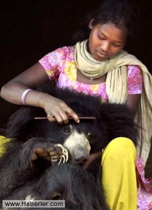 Sıradışı Evcil hayvanlar galerisi resim 8