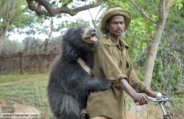 Sıradışı Evcil hayvanlar galerisi resim 9