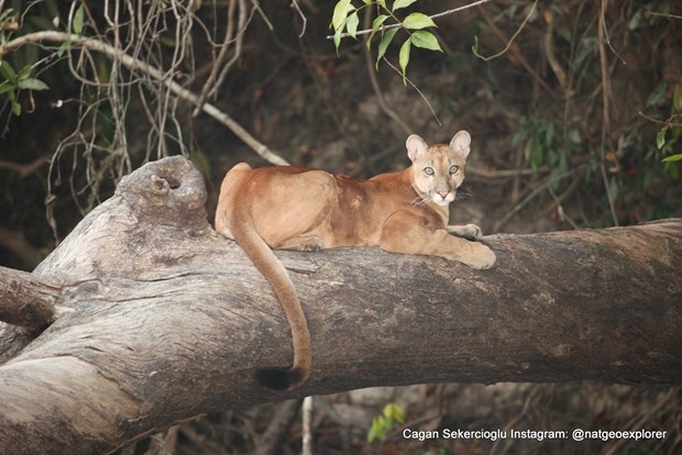 National Geographic'te bir Türk galerisi resim 5