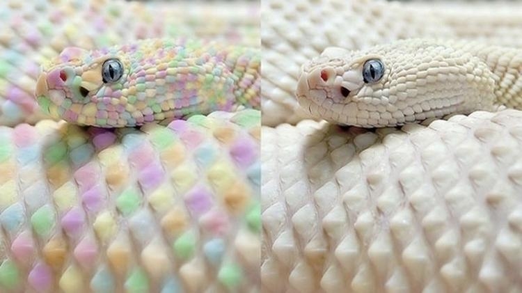 Aklın sınırlarını zorlayan fotoğraflar galerisi resim 16