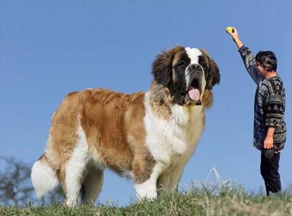 Aklın sınırlarını zorlayan fotoğraflar galerisi resim 18