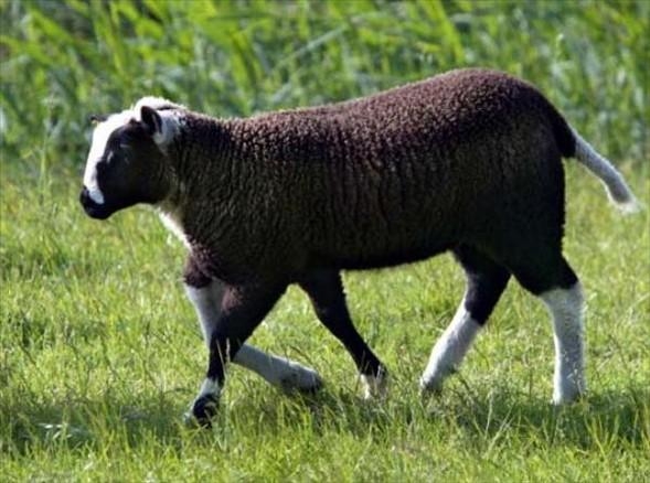 Aklın sınırlarını zorlayan fotoğraflar galerisi resim 19