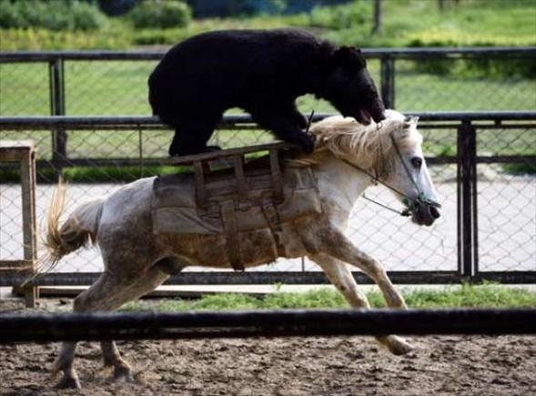 Aklın sınırlarını zorlayan fotoğraflar galerisi resim 2