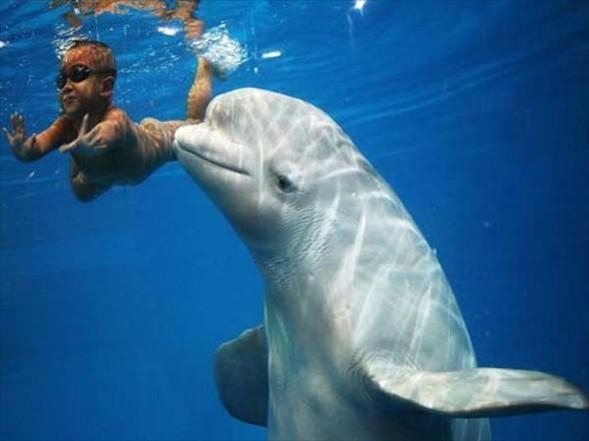 Aklın sınırlarını zorlayan fotoğraflar galerisi resim 20