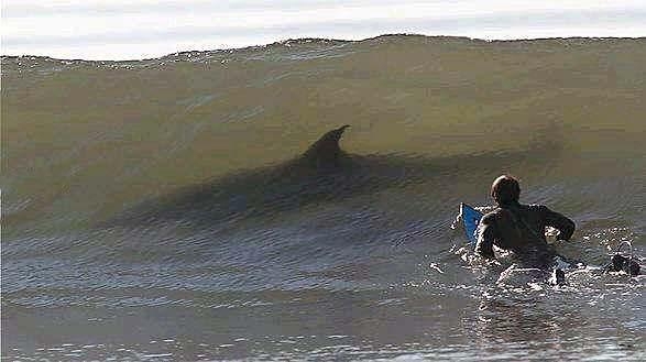 Aklın sınırlarını zorlayan fotoğraflar galerisi resim 24