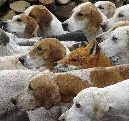 Aklın sınırlarını zorlayan fotoğraflar galerisi resim 25