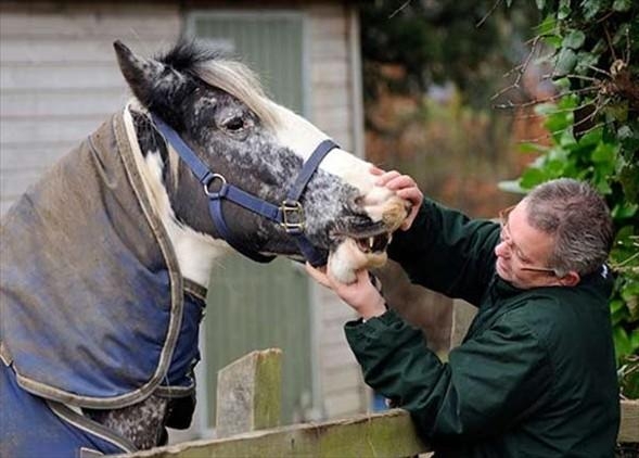 Aklın sınırlarını zorlayan fotoğraflar galerisi resim 3