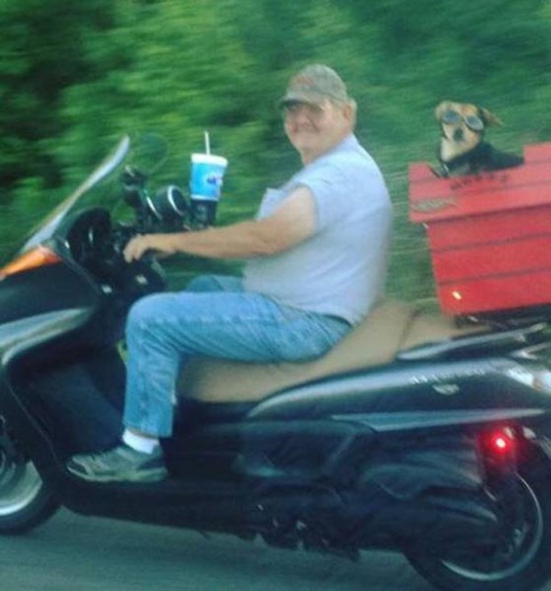 Bu görüntülere yollar bile şaşırdı! galerisi resim 11