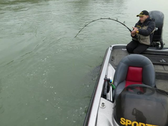 Olta ile yakaladı Foto-Galeri galerisi resim 6