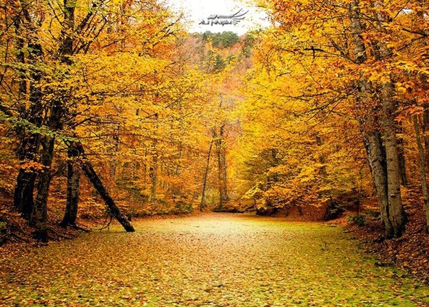 Sonbaharın yakıştığı en güzel yerler galerisi resim 10