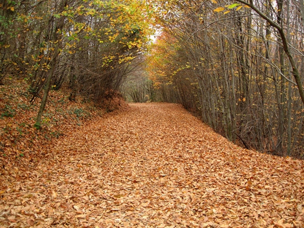 Sonbaharın yakıştığı en güzel yerler galerisi resim 14