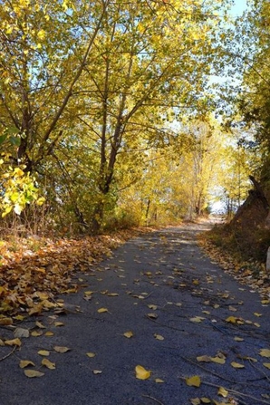 Sonbaharın yakıştığı en güzel yerler galerisi resim 4