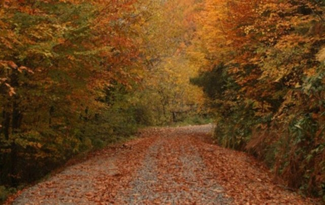 Sonbaharın yakıştığı en güzel yerler galerisi resim 7