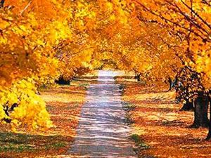 Sonbaharın yakıştığı en güzel yerler