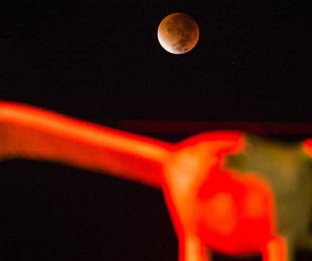 33 yıl  sonra bir ilk: Süper Ay tutulması heyecanı galerisi resim 11