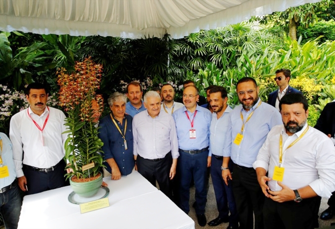 Singapur'da Binali Yıldırım'a orkide sürprizi galerisi resim 1