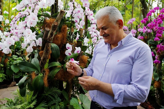 Singapur'da Binali Yıldırım'a orkide sürprizi galerisi resim 19