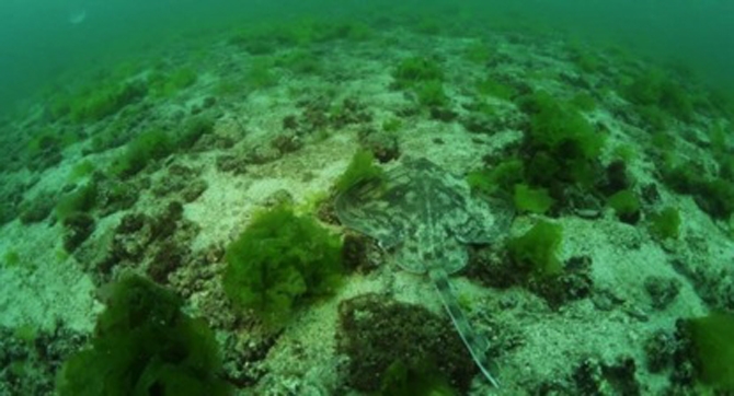 İstanbul'un saklı kalmış adaları! galerisi resim 27