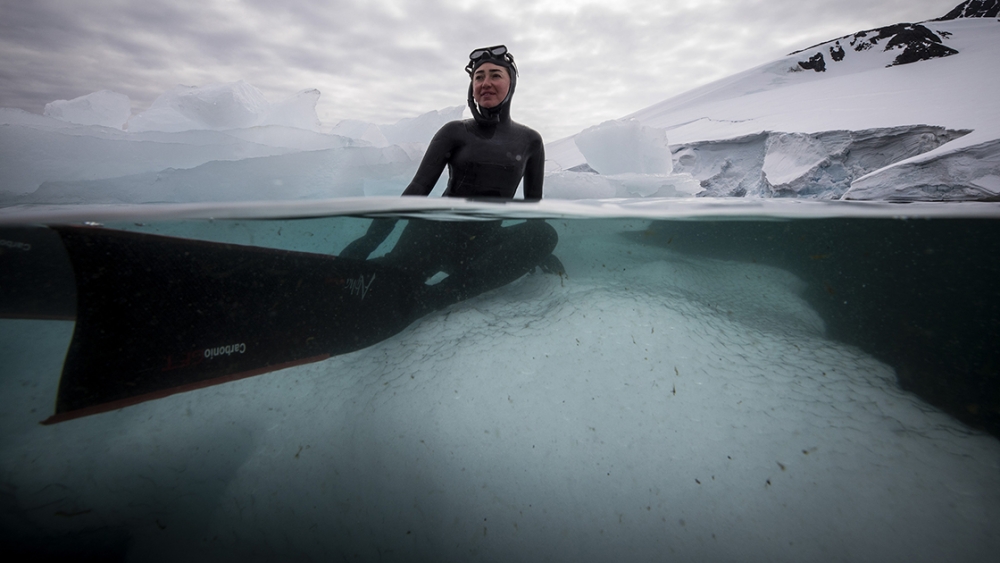 Buz gibi sulara daldı galerisi resim 1