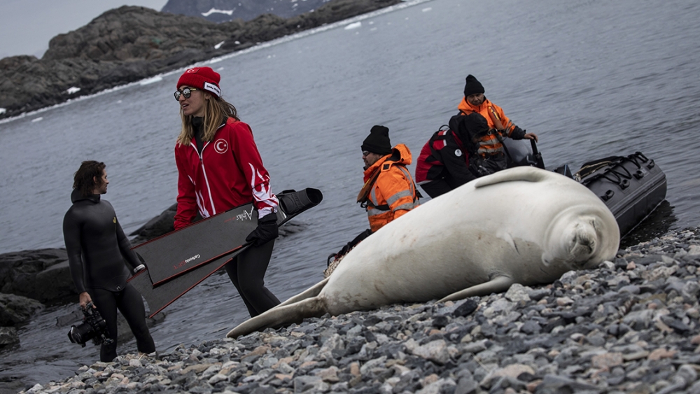 Buz gibi sulara daldı galerisi resim 4