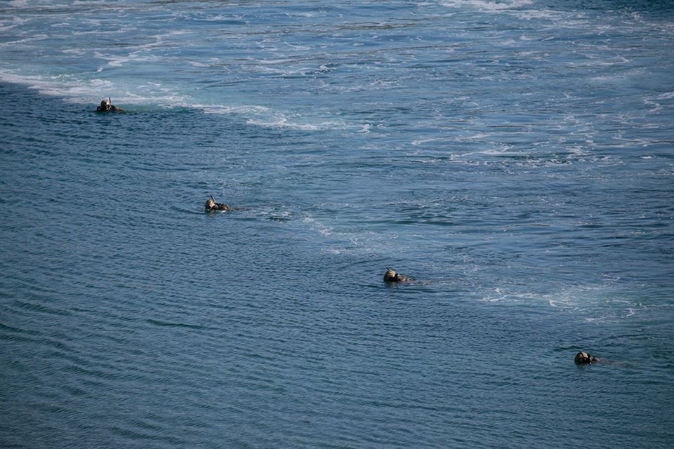 'Mavi Vatan'a havadan takip galerisi resim 10