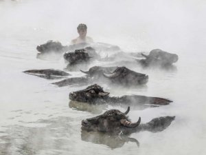 Dondurucu soğukta kaplıca keyfi